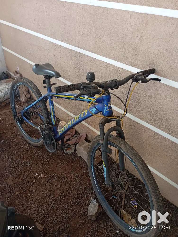 Rodeo cycle