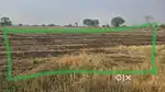3-ACRE AGRICULTURAL LAND FOR SALE | DEOLI-PULGAON ROAD |