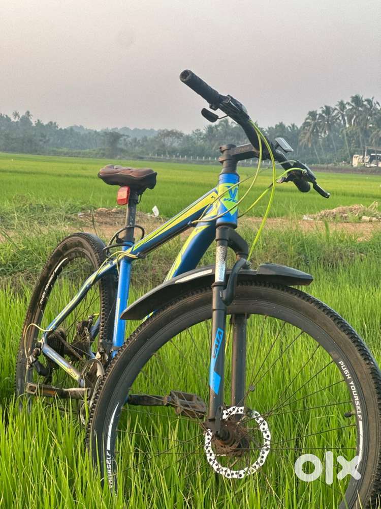VIVA MTB (7*3 Gear Cycle)