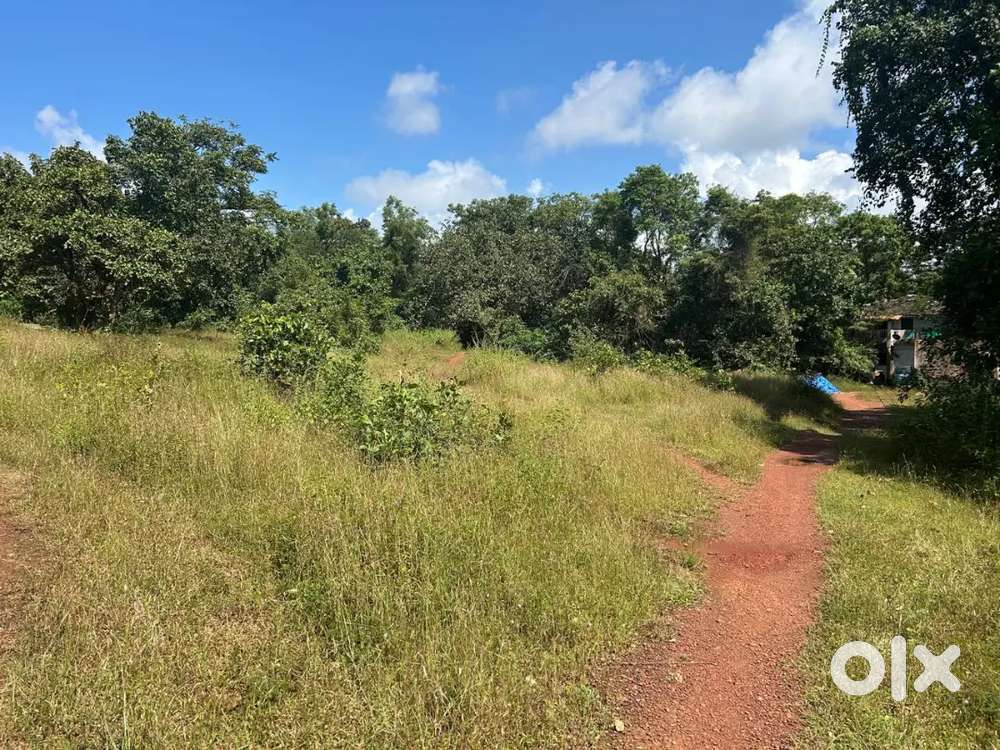 Plot Available On Jv In Goa