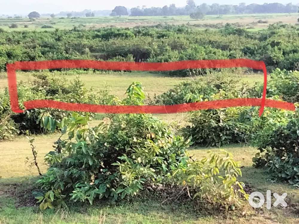 Laulai land