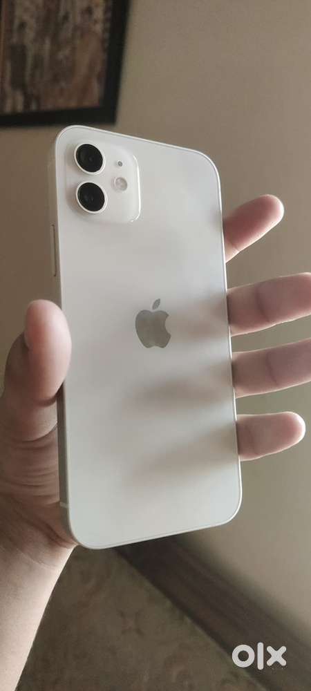 Iphone 12.     128gb battery health 81/percent