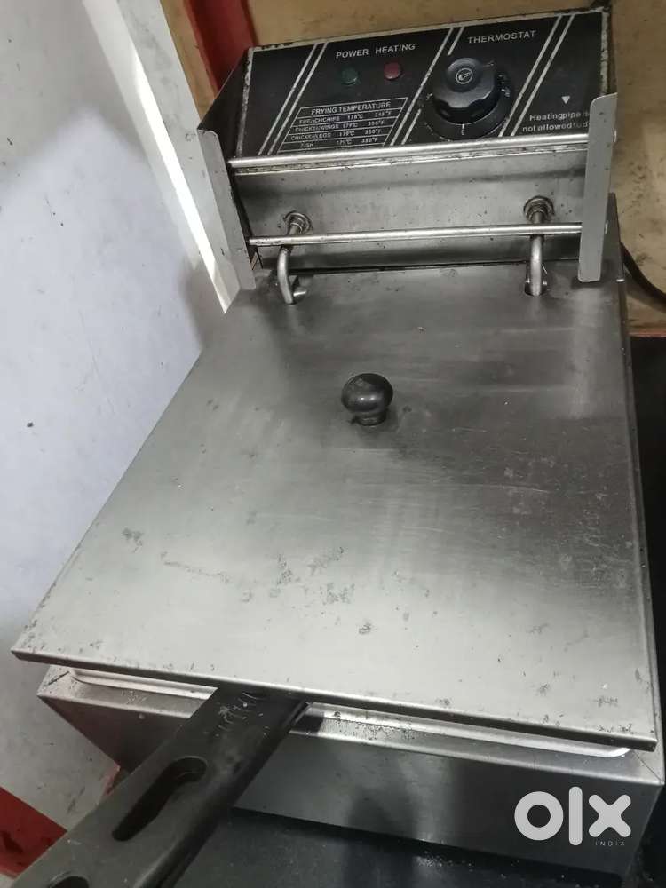 Frozen Foods Fryer
