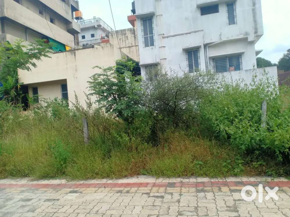 Ner sarvodaya School