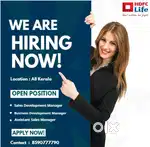 Sales/Business development manager(Male/Female)