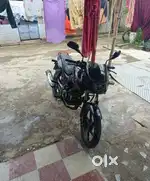 Brand new pura