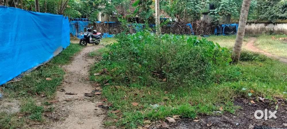 വാരനാട് ദേവീക്ഷേത്രത്തിന് തെക്കുവശ8cent വിൽപ്പനയ്ക്ക് 1.60 സെന്റിന്