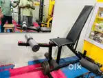 Leg Extension and Curl
