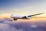 Now hiring for indigo airlines apply fast