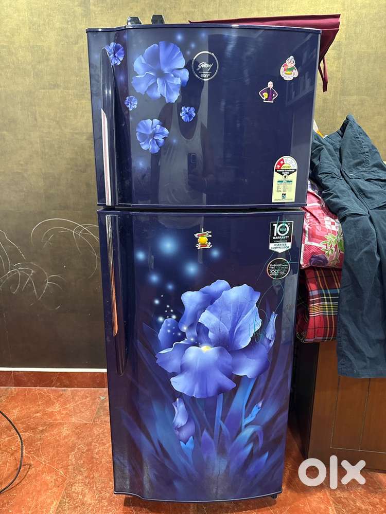 Godrej Eon 2 door Fridge