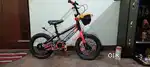 Bycycle monstar