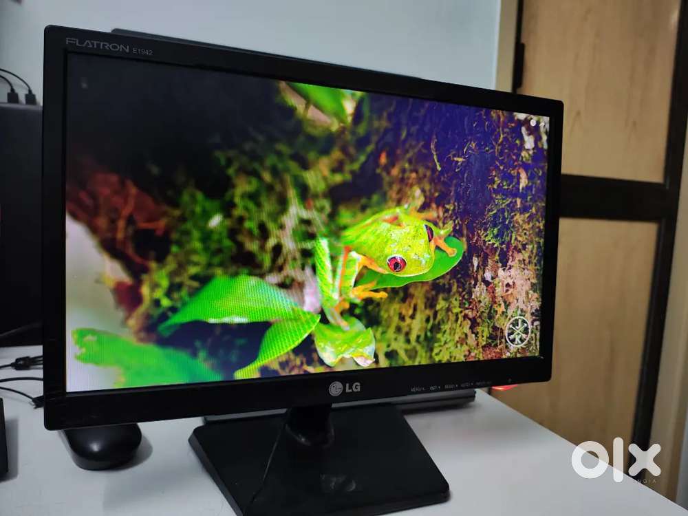 LG Monitor
