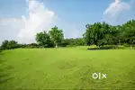 THIRUVANCHOOR 2 ACRE 96000/CENT