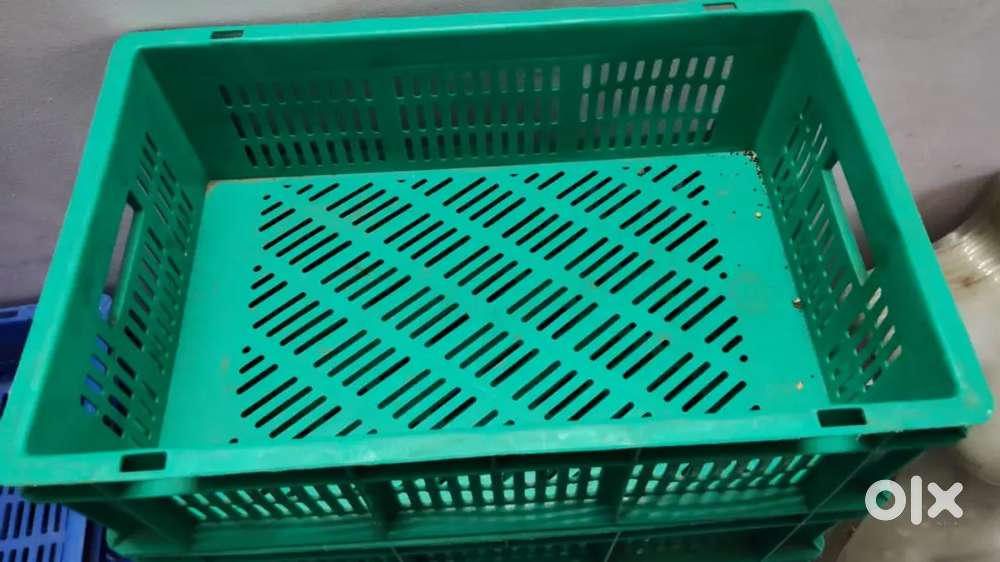 Vegetable heavy carrot 8 pec