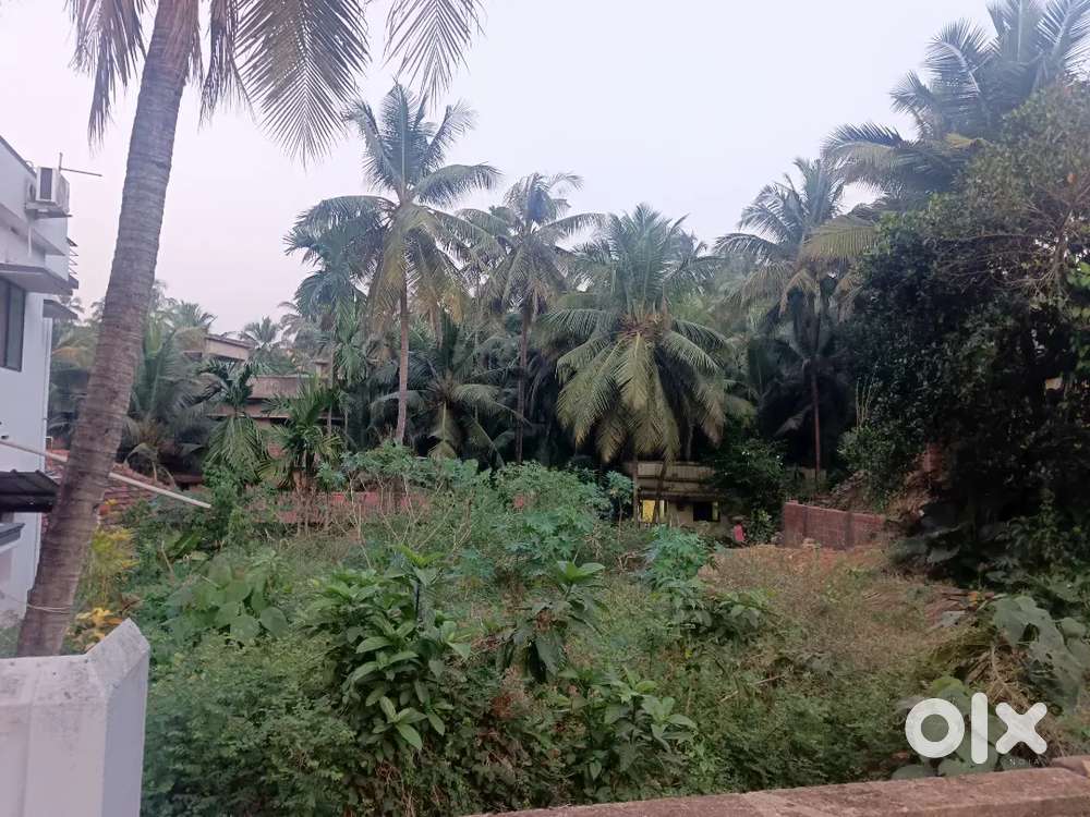 Land for sale in kavoor