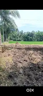 16 settulu