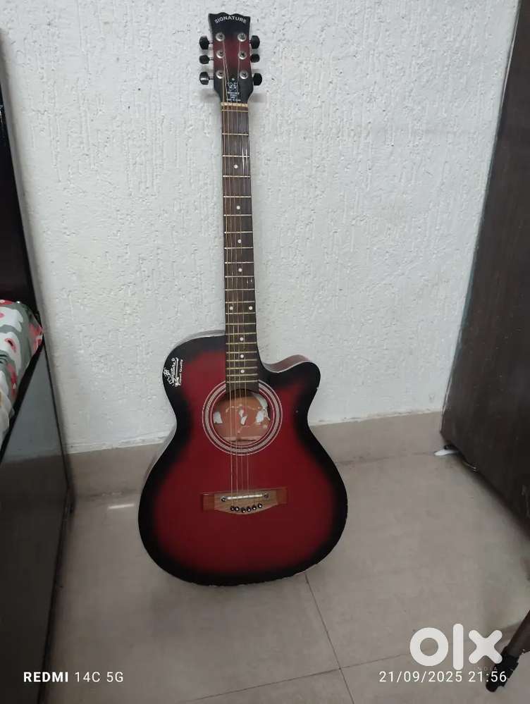 Signature guitar