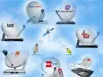 Dish settings rs 300