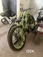 Fat cycle for sale