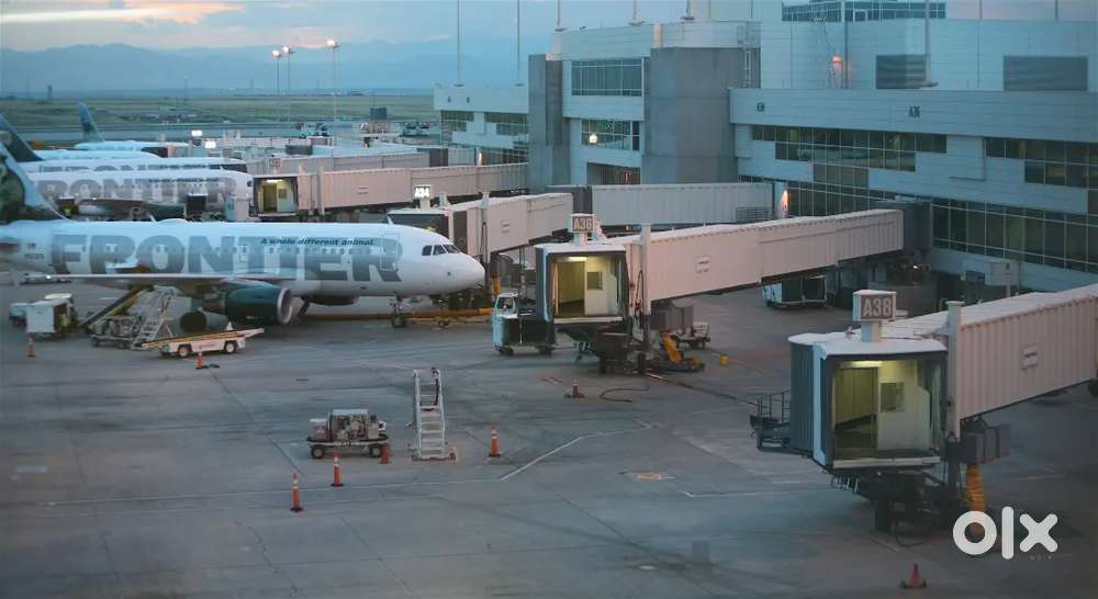 Fresher & Experience Candidates Apply in Airport Driver and Staff