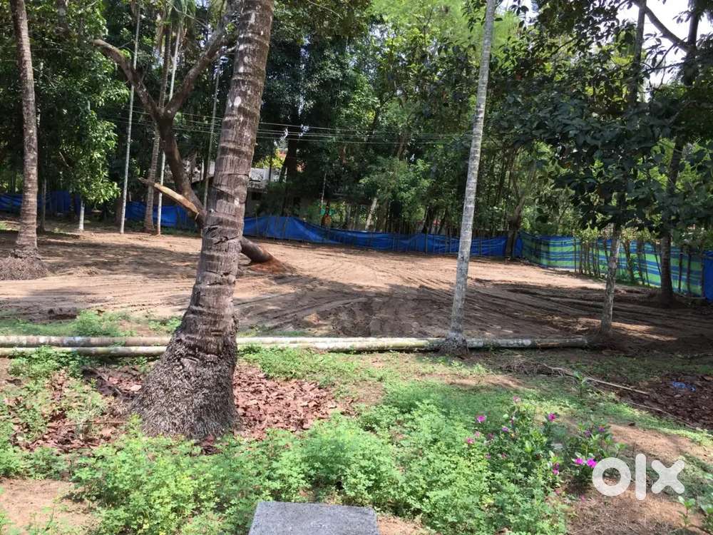 23 സെന്റ് സ്ഥലം