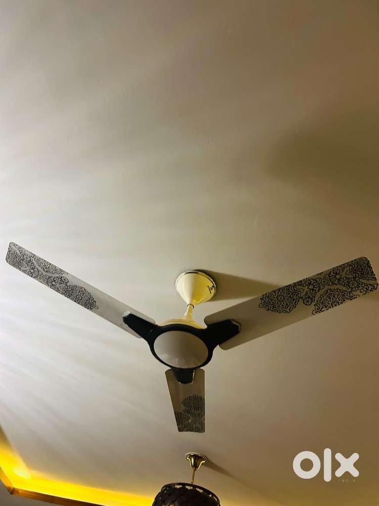 Standard electric designer fan
