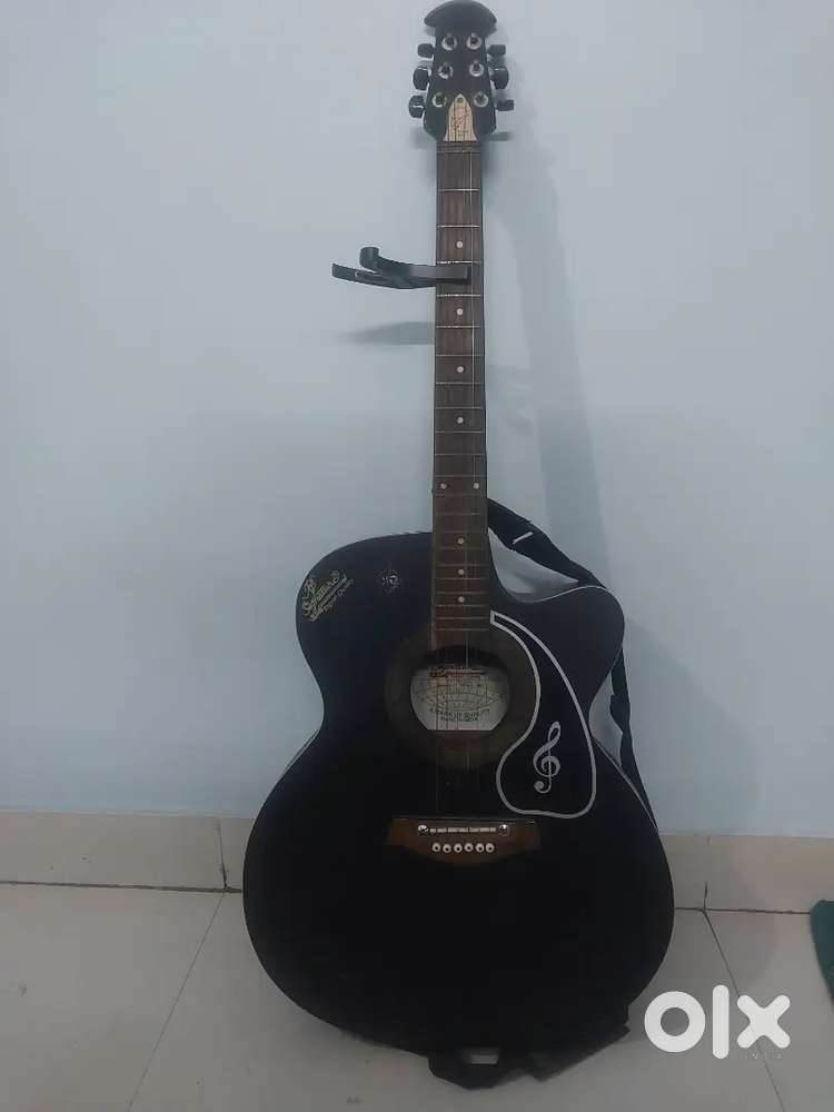 Musically instruments guitar