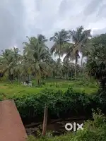 17 acre coconut thottam for sale