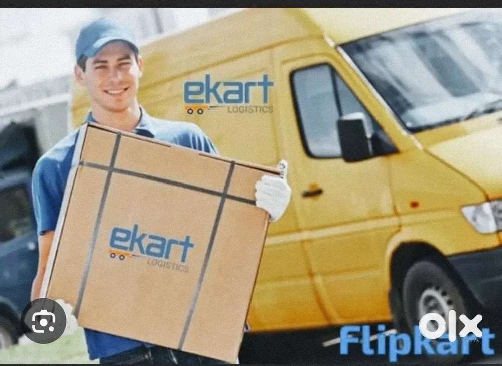 Parcel van helper