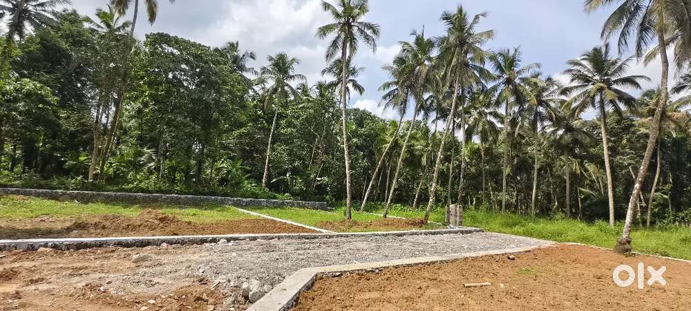 ഹൗസ് പ്ലോട്ട് Near Highway  5,7,10 cent