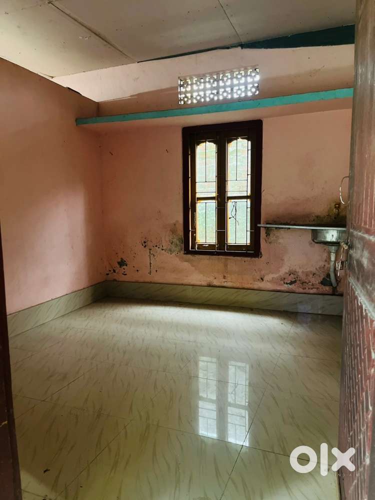 Individual/or pair  room for rent