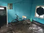 Need a roomate in zoo road