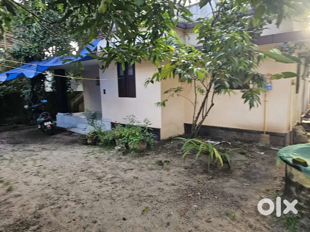 6 Cent Good Residencial Plot For Sale Alinchuvad Vennala.