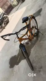 Gang Bicycle