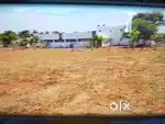 Low budget Dtcp approved site for sale in coimbatore