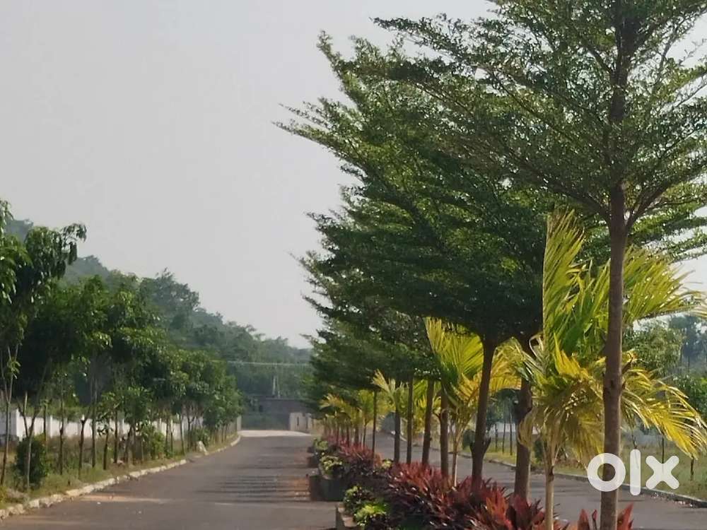 RESIDENTIAL LAND FOR SALE.