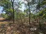 355M2 PLOT FOR SALE LOCATED ON KADAMBA PLATEAU GOA