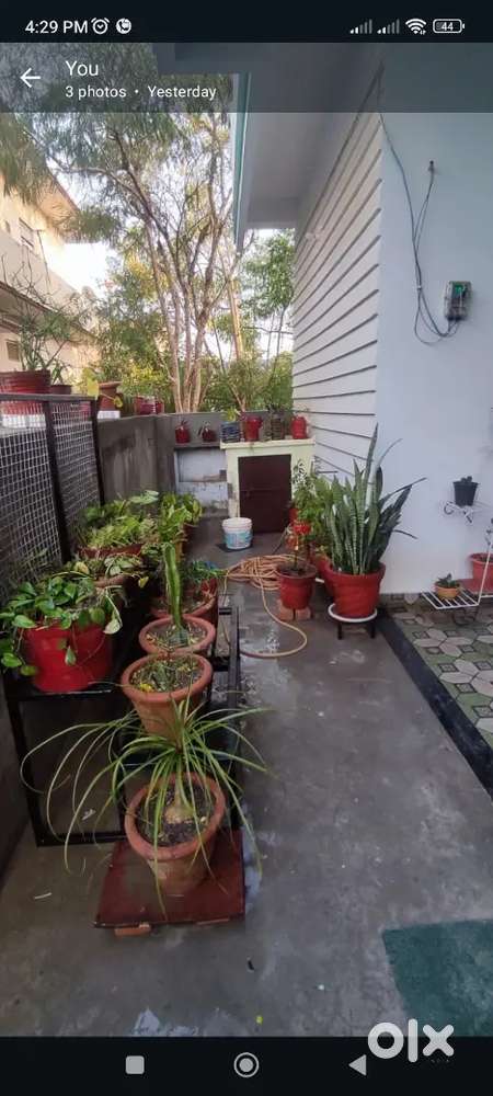 Rent Independent Single Room with kitchen, bathroom on rent