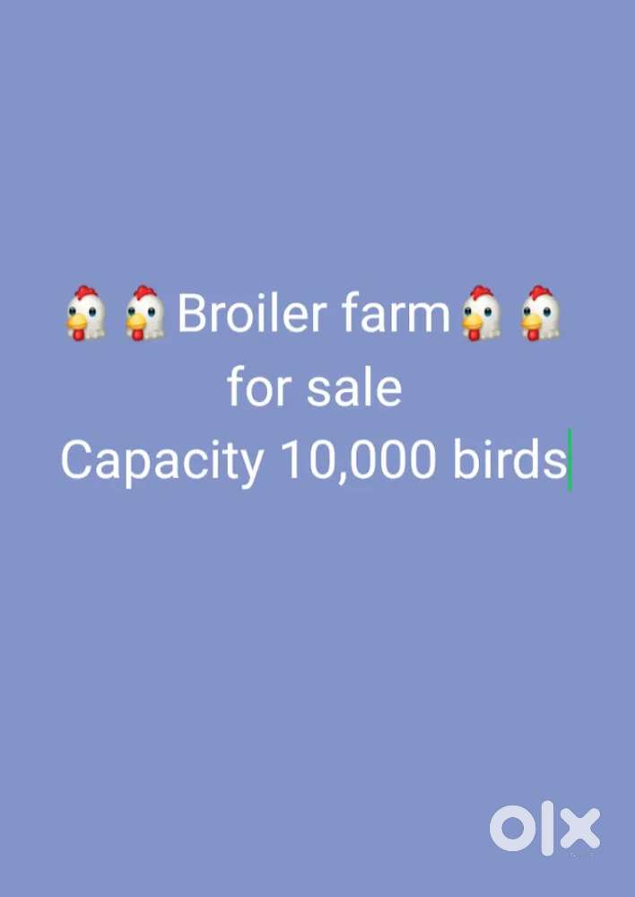 Poultry farm for sale