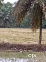 Mallavaram