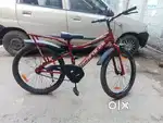 16 inch cycle