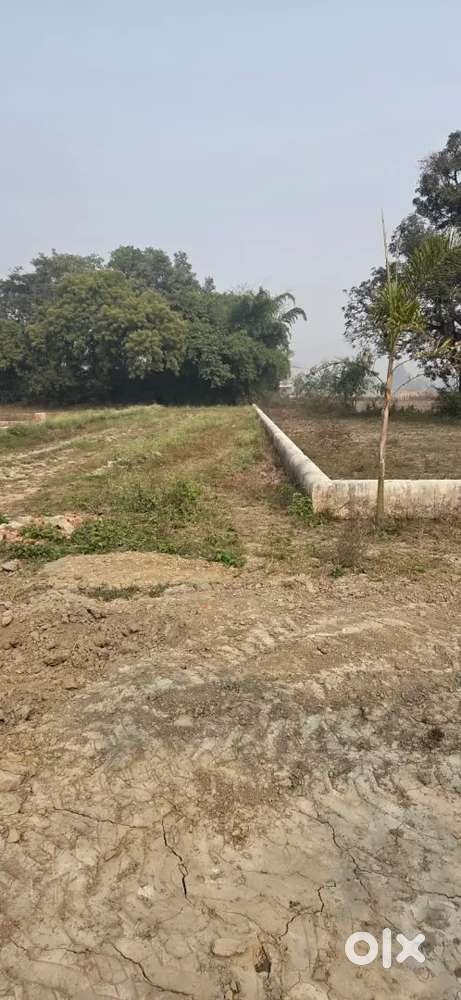 इकाना स्टेडियम संस्कृत विश्व विद्यालय से 10 मिनट कि दूरी पर