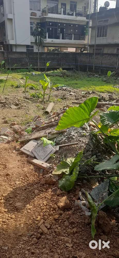 1.5 katha myadi land