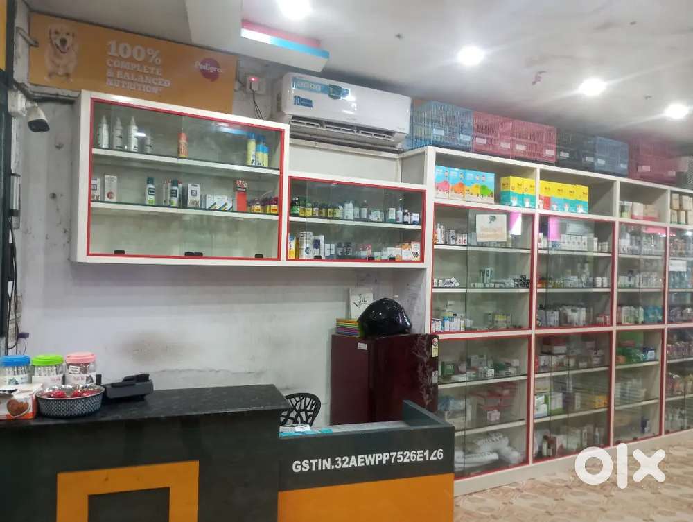 PHARMACIST NEEDED FOR KENNELMART KOTTAYAM