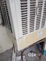 Medium size cooler for students