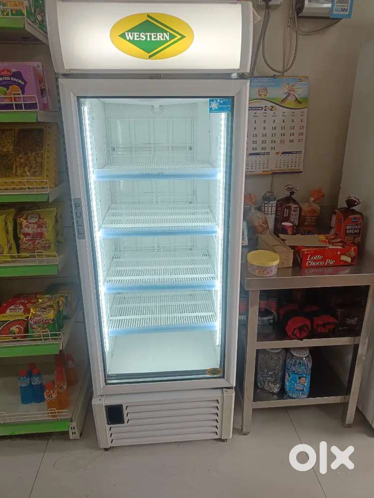 Standing Western Freezer