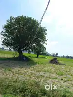 Total 4 acre per cent 1 lak Fram land
