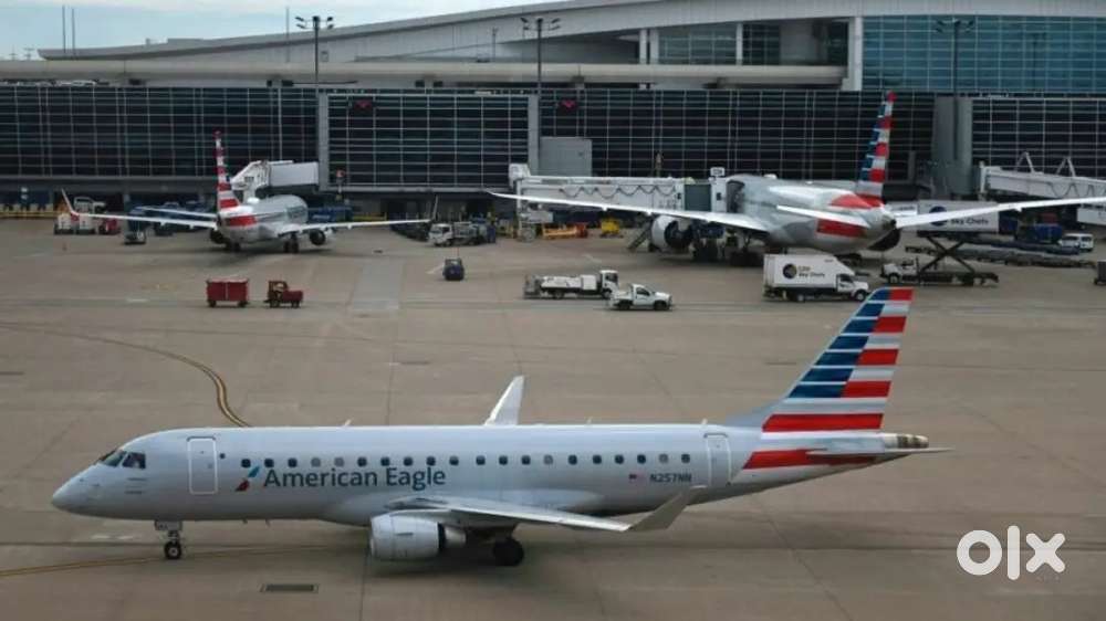 Indigo Airlines jobs /Vacancy for Airport Ground staf / Driver / Crew