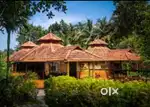 Urgently required a cook for luxury resort knowledge about nadan food