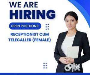 Wanted Receptionist cum telecaller